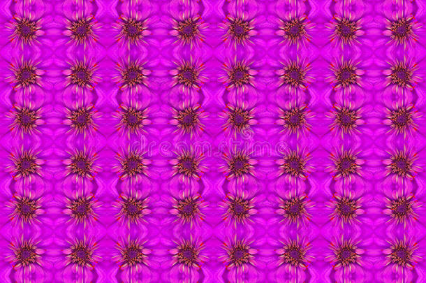 紫荆花背景