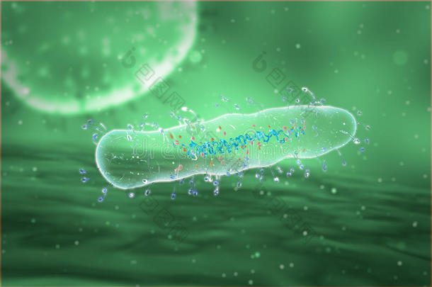 细菌生物生物学癌症细胞