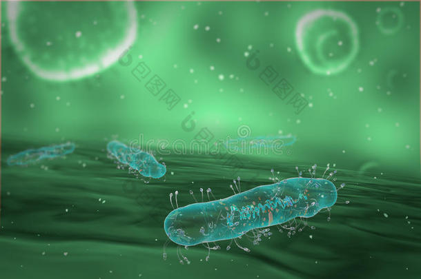 细菌生物生物学癌症细胞