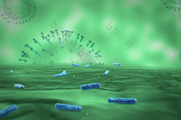 细菌生物生物学癌症细胞