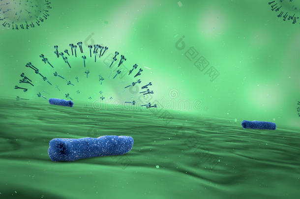 细菌生物生物学癌症细胞