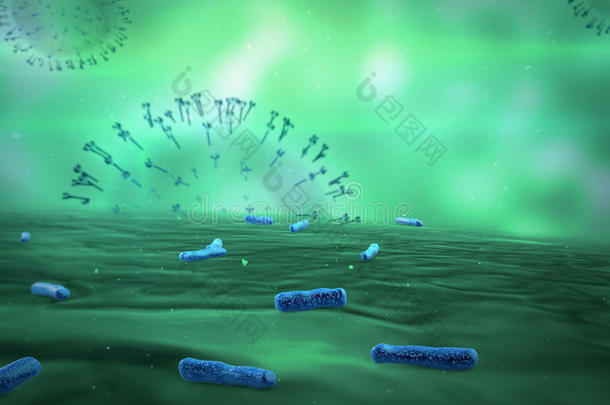 细菌生物生物学癌症细胞