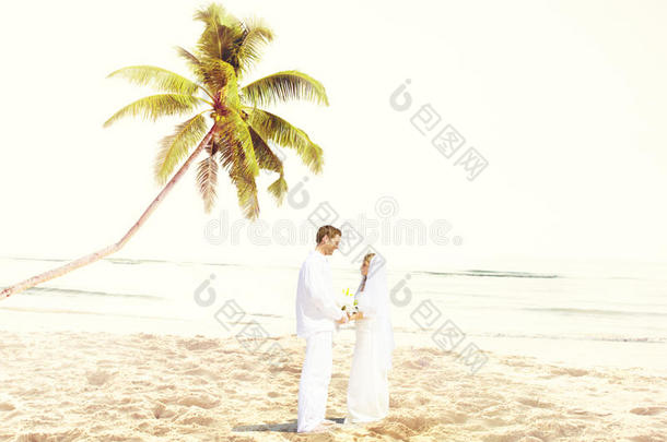 夫妻浪漫海滩爱情婚姻概念