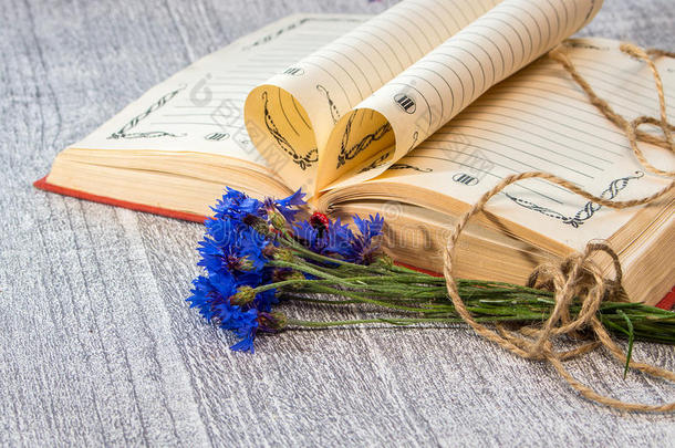 书页折叠成一颗心和一朵花束矢车菊。