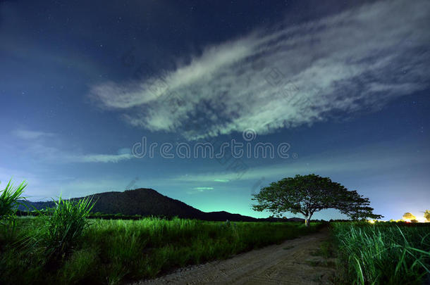 夜空，银河覆盖森林和树木