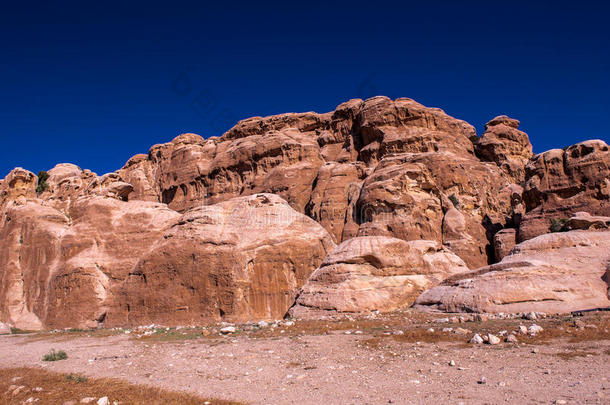 阿拉伯的阿拉伯语古生物学考古亚洲