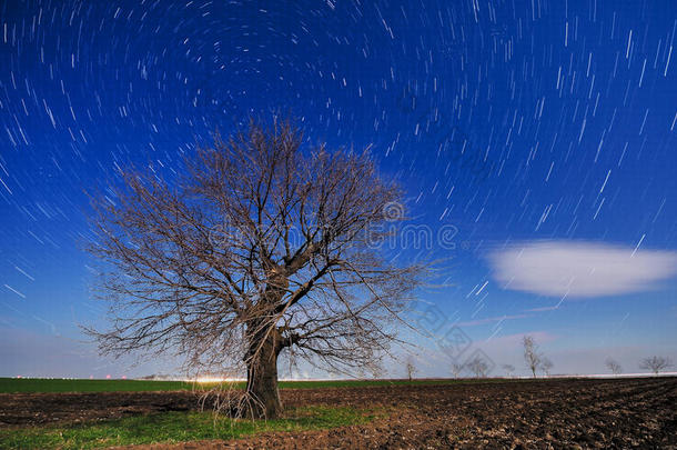 弧线天文的天文学天体摄影天空的