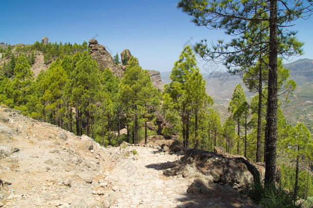 大加那利，特耶达火山口