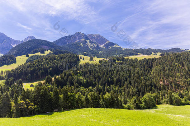 阿尔卑斯山海拔高度动物背景蓝色