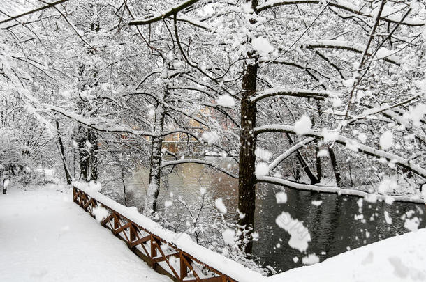 美丽的雪景-河流和树木-巨大的雪花