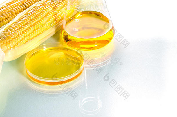 生物燃料或玉米糖浆甜玉米