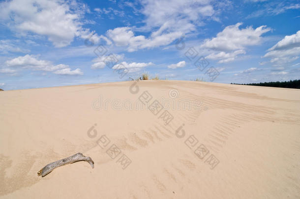 贫瘠的弯曲云漂流沙丘