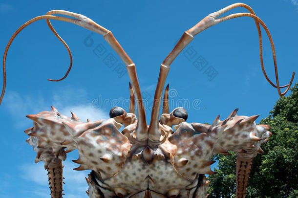 巨大的龙虾头
