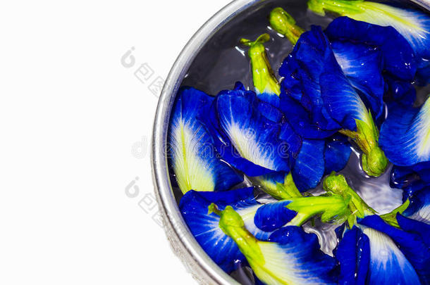 银碗里有很多蝴蝶豌豆或蓝色豌豆花