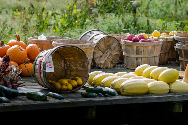 秋季农产品出售在印第安纳州的农场摊位