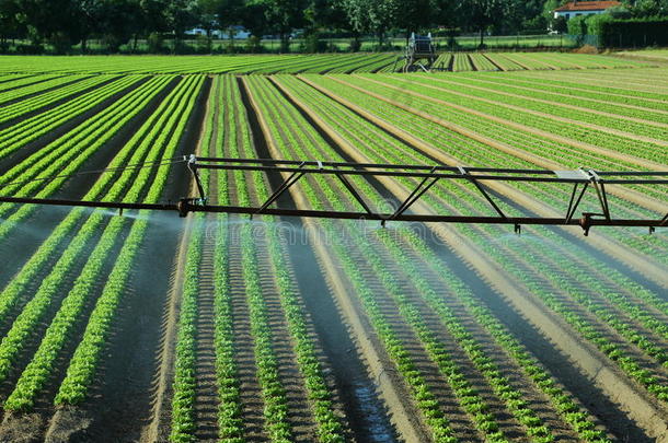 田间自动灌溉系统