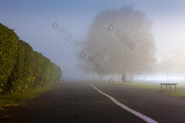 雾蒙蒙的天气中城市化的道路