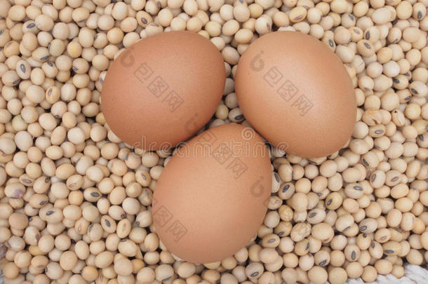 鸡蛋大豆