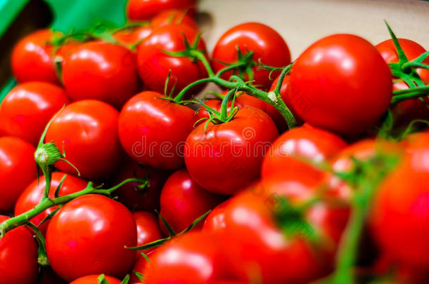 新鲜花园番茄