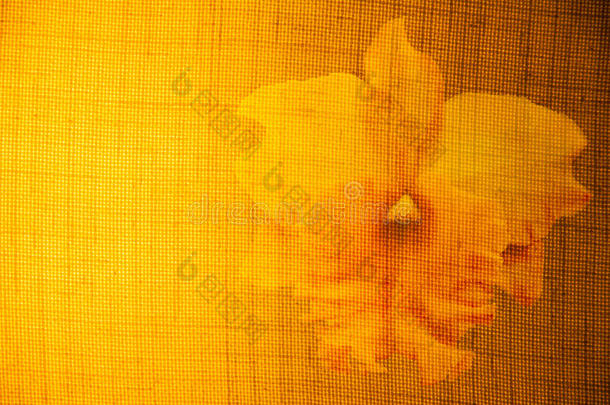 织物表面的花和淡黄色。
