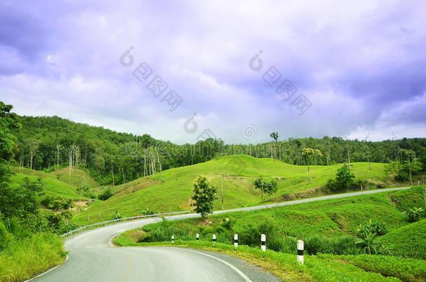 花草绿色绿色背景<strong>青花</strong>