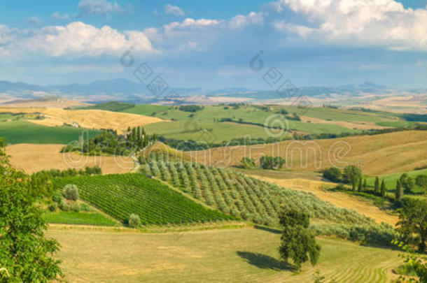 托斯卡纳风景名胜日落，瓦尔德奥尔西亚，意大利