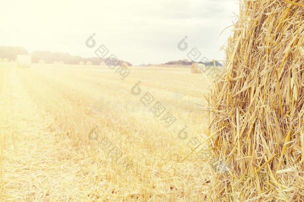 田野上用干草制成的背景。