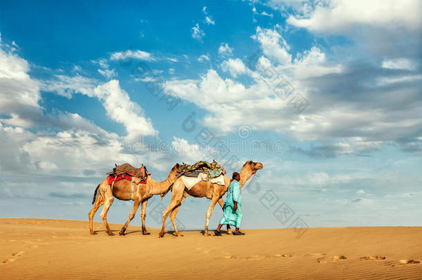 在塔尔沙丘上骑骆驼的骆驼司机