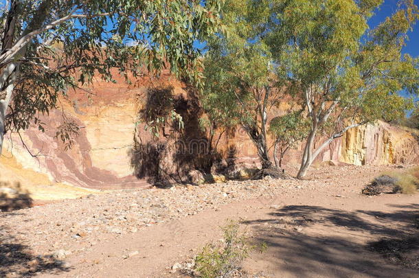 原住民爱丽丝干旱的艺术澳大利亚