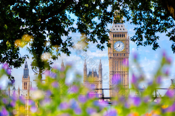 大本，伦敦，英国。 从一个有花草树木的公共花园看