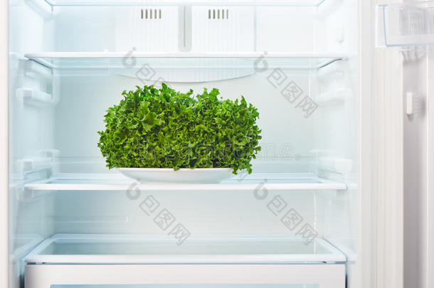 白色盘子上的绿色沙拉，在开放的空冰箱里
