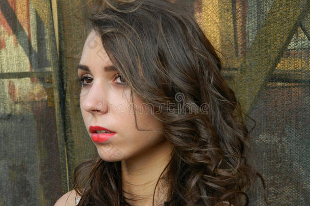 美丽的年轻<strong>女</strong>人，在罗马尼亚的希奇索拉市摆姿势