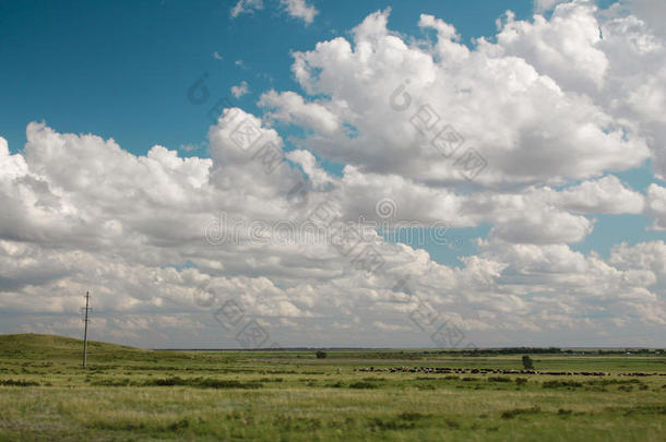 田野和云，哈萨克斯坦共和国