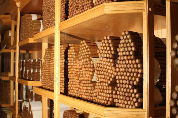 古巴雪茄在一个大堆的加湿器里