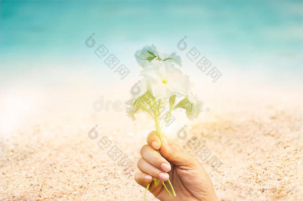 抽象的海滨鲜花在手的沙滩夏日