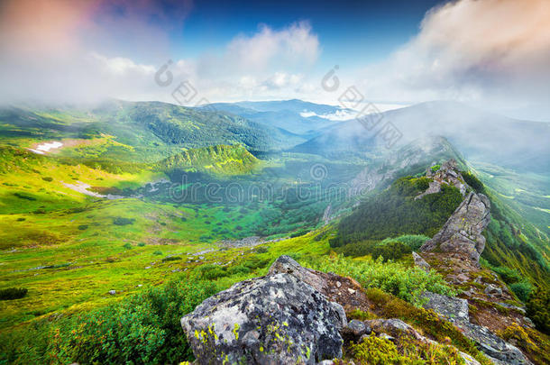 五彩缤纷的夏季日出在雾蒙蒙的喀尔巴阡山。