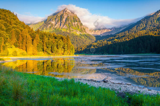 五彩缤纷的夏日早晨在难以置信美丽的瑞士湖上