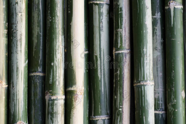 竹管