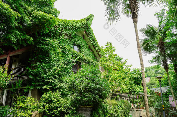 夏天下午的中国传统住宅覆盖着树木