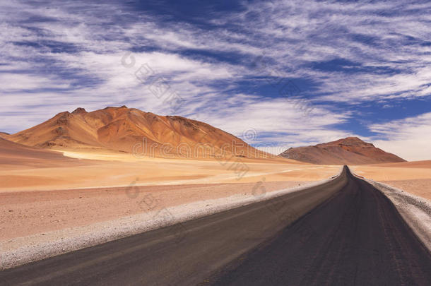 沙漠公路穿过高原，智利，海拔4700米