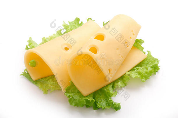 奶酪剪辑折叠食物新鲜的