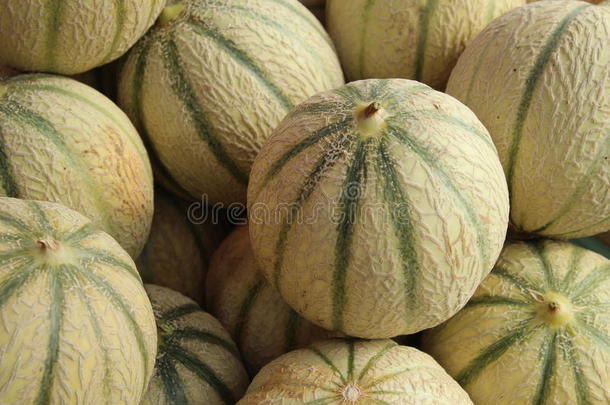 农业抗氧化剂背景棕色的香瓜