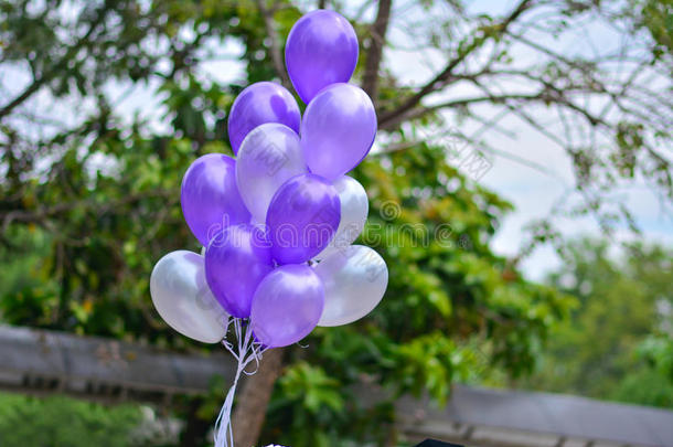 紫色<strong>气球</strong>