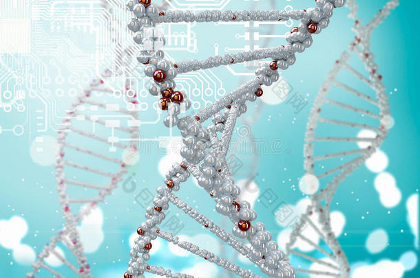 dna<strong>分子</strong>
