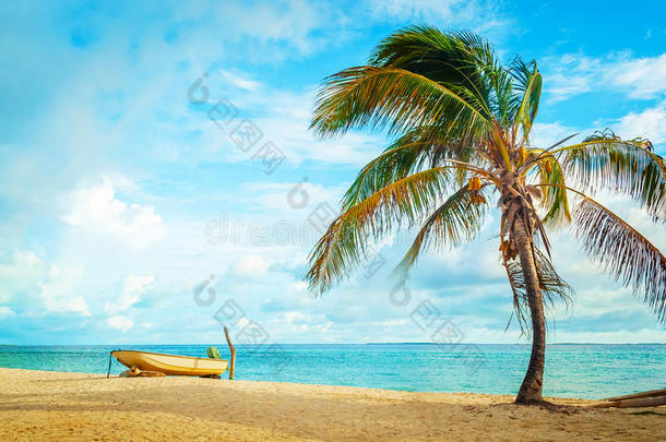 加勒比海海滩上的船和椰子树