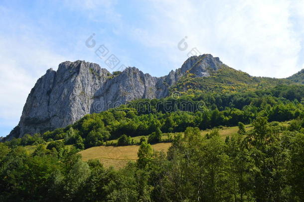 和地区森林风景山