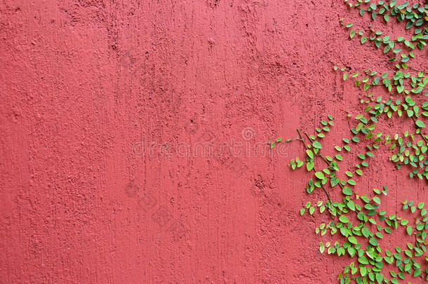 <strong>红墙</strong>的特写部分覆盖着绿色植物