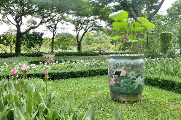 鸟画莲花植物罐在绿色草坪上