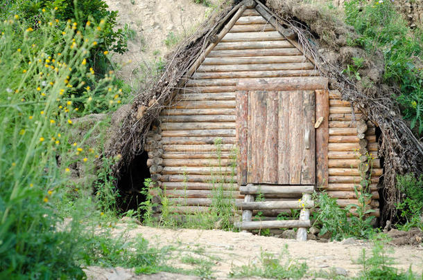 隐藏在森林里的旧实木小屋