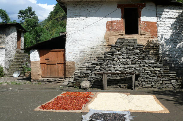 尼泊尔小村庄的辣椒、玉米等